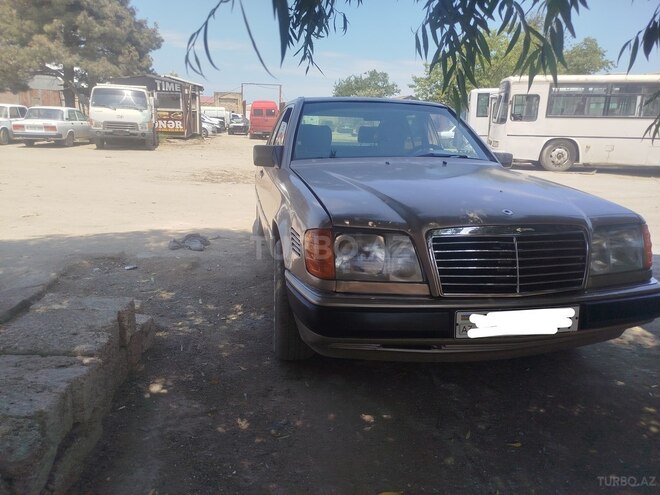 Mercedes 250 D-2