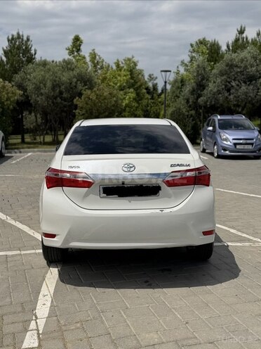 Toyota Corolla-6
