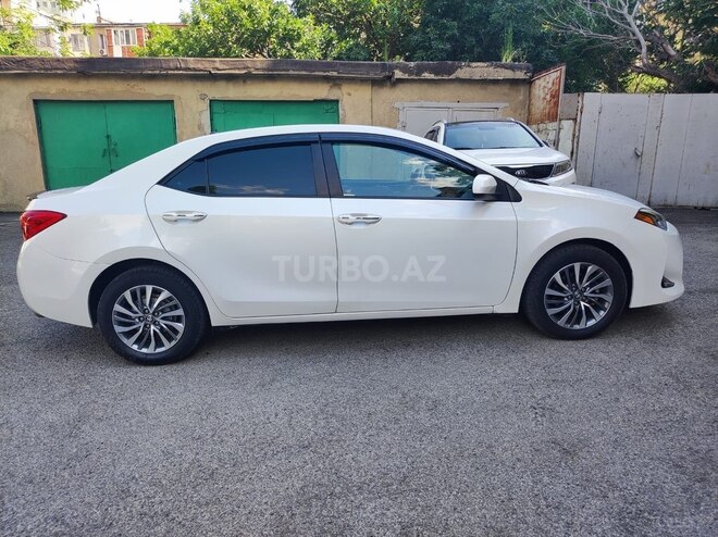 Toyota Corolla-4