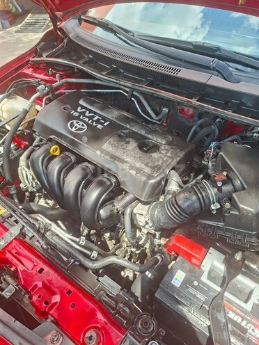 Toyota Corolla-8