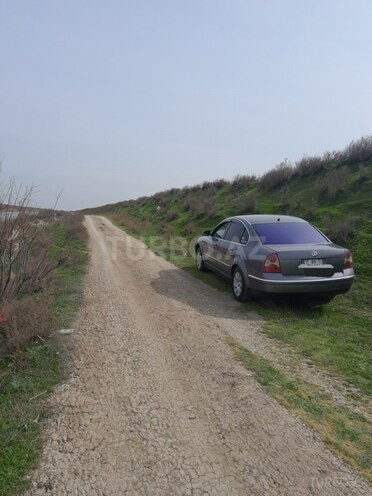 Volkswagen Passat-10
