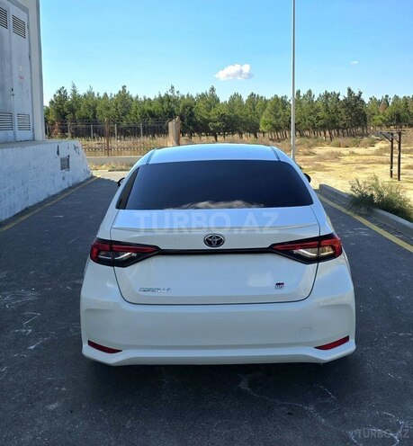 Toyota Corolla-2