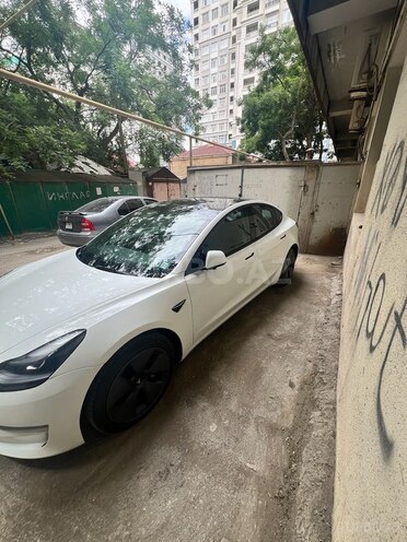 Tesla Model 3-2