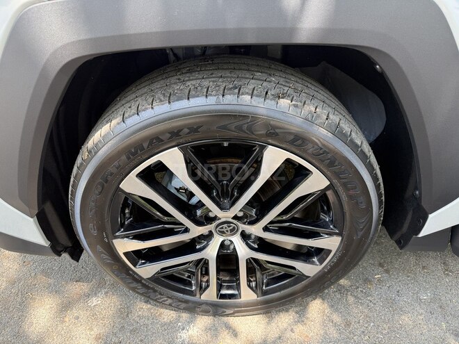 Toyota Wildlander-12