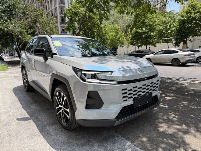 Toyota Wildlander-2