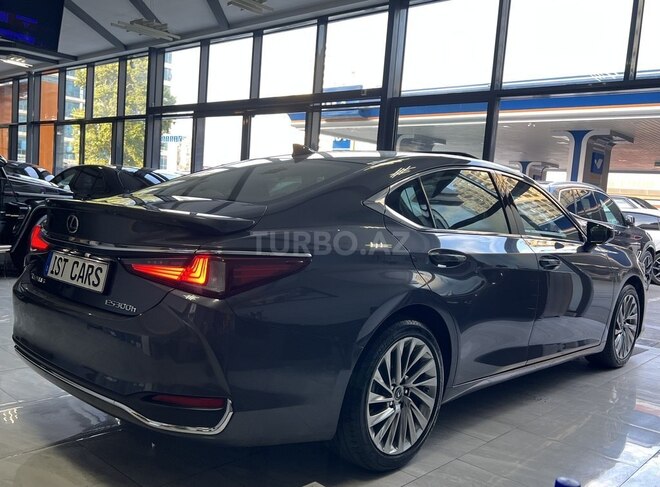 Lexus ES 300h-8