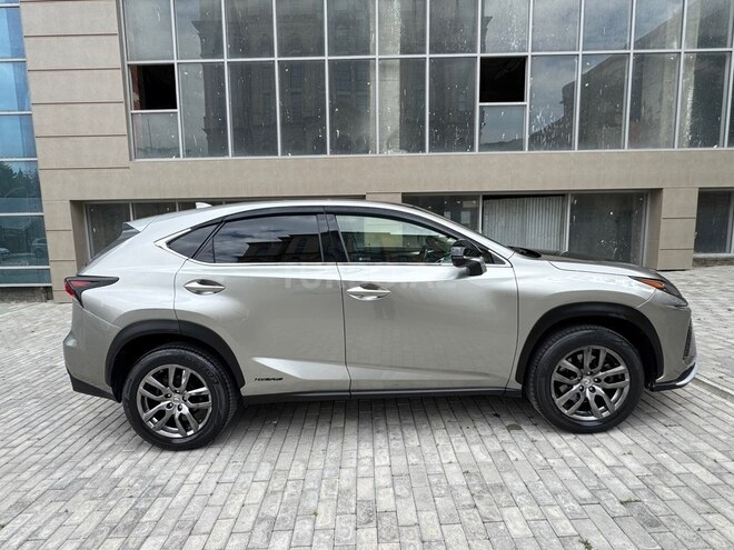 Lexus NX 450h+-7
