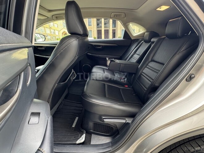 Lexus NX 450h+-10