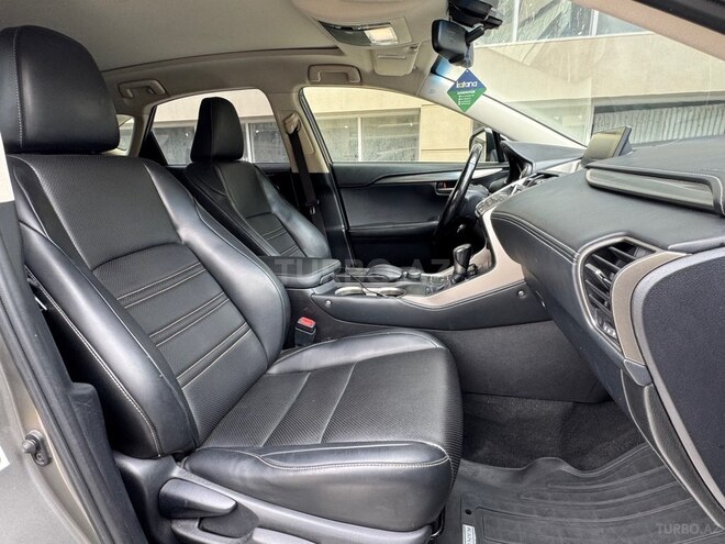 Lexus NX 450h+-13