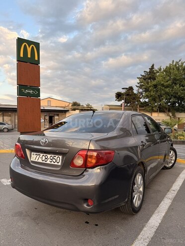 Toyota Corolla-6