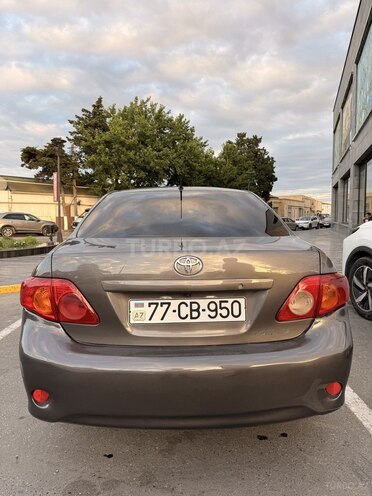 Toyota Corolla-4