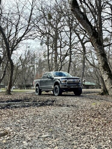 Ford F-150-12