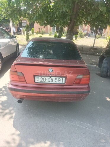 BMW 318-3