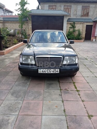 Mercedes 250 D-1