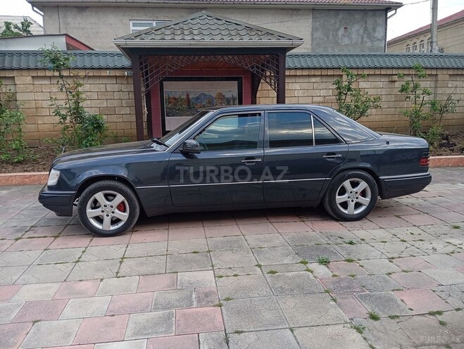 Mercedes 250 D-4
