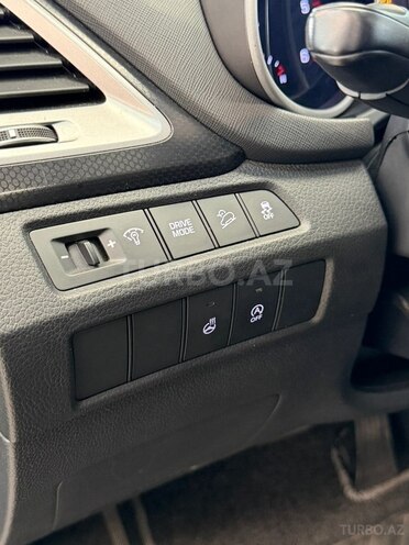 Hyundai Santa Fe-13