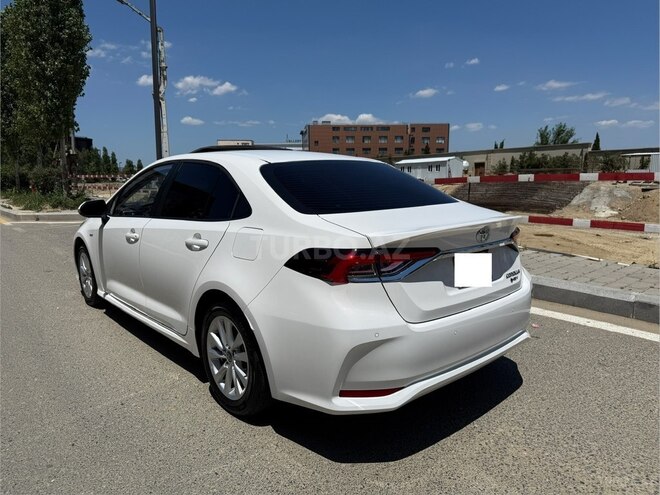 Toyota Corolla-4