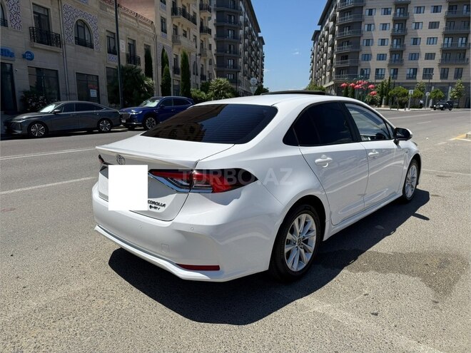 Toyota Corolla-6