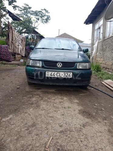 Volkswagen Polo-1