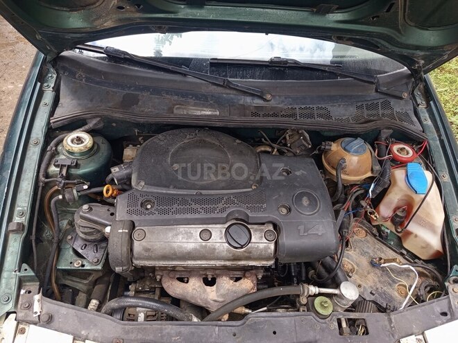 Volkswagen Polo-13