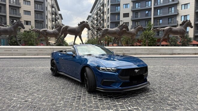 Ford Mustang-4