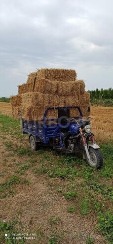 Muravey TGA200-6
