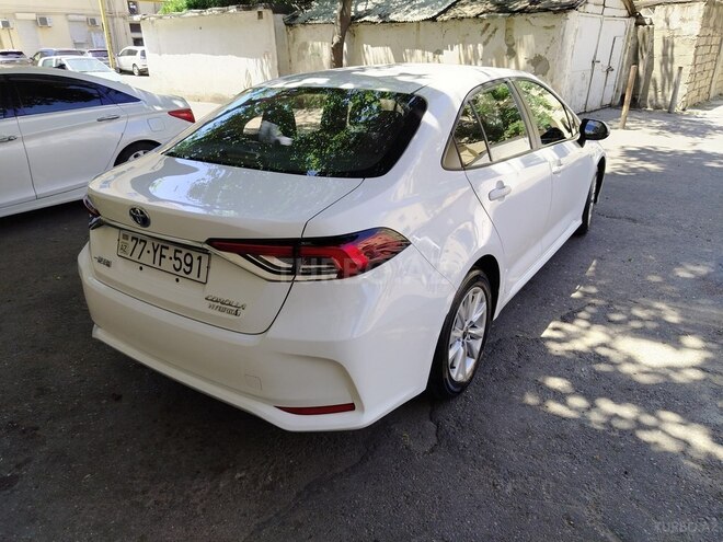 Toyota Corolla-8