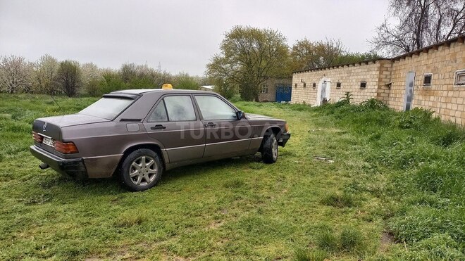 Mercedes 190-10