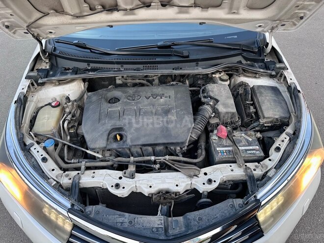 Toyota Corolla-4