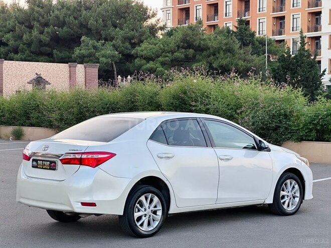 Toyota Corolla-20