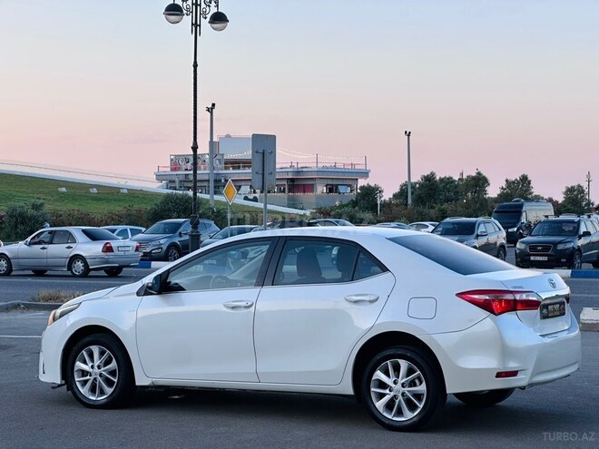 Toyota Corolla-23