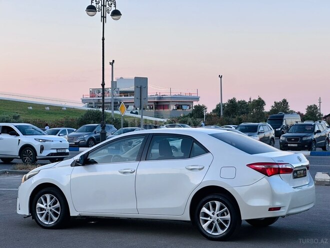 Toyota Corolla-22