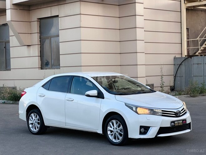 Toyota Corolla-16
