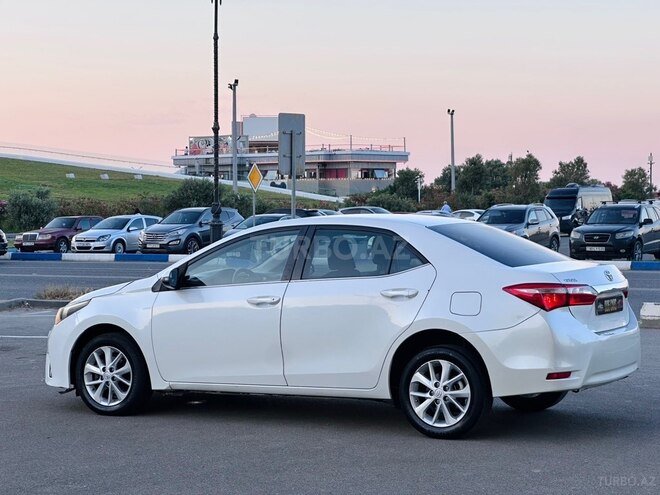 Toyota Corolla-25