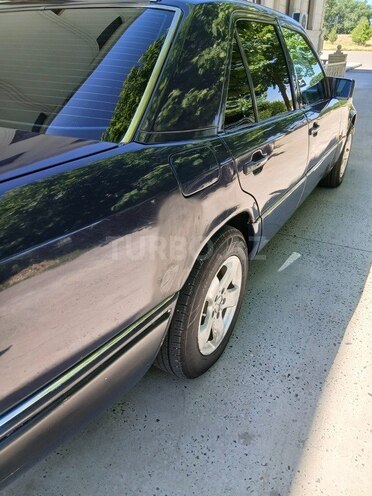 Mercedes 250 D-4