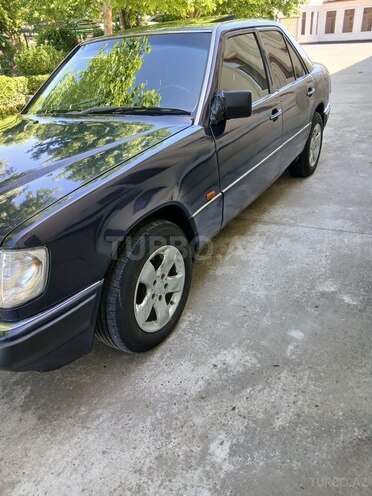 Mercedes 250 D-8