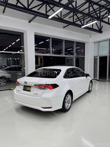 Toyota Corolla-8