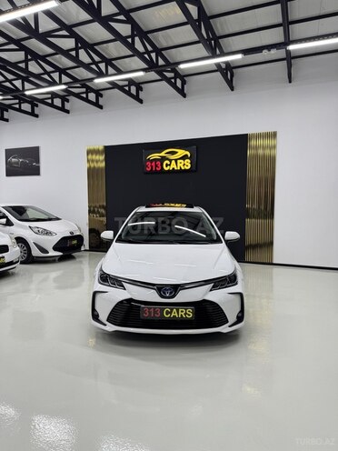 Toyota Corolla-6