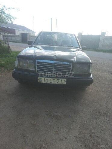 Mercedes 250 D-1