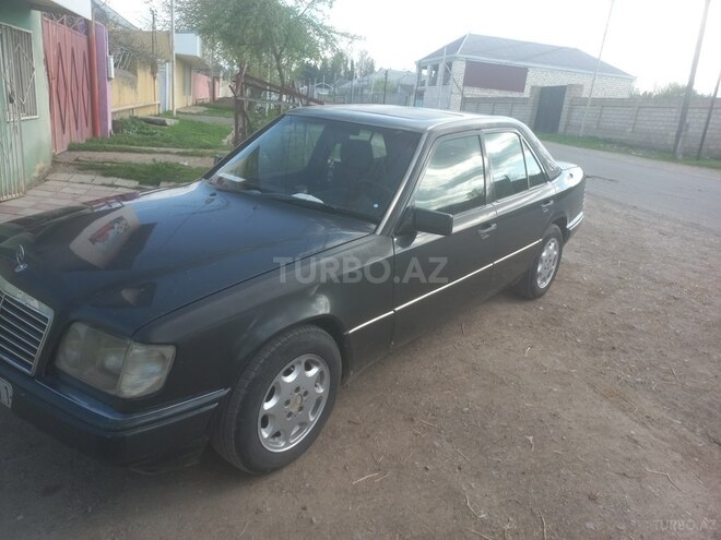 Mercedes 250 D-3
