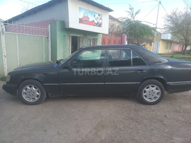 Mercedes 250 D-10