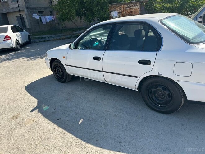 Toyota Corolla-6