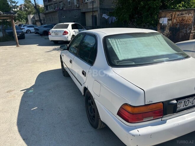 Toyota Corolla-7