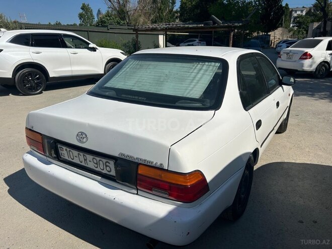 Toyota Corolla-5