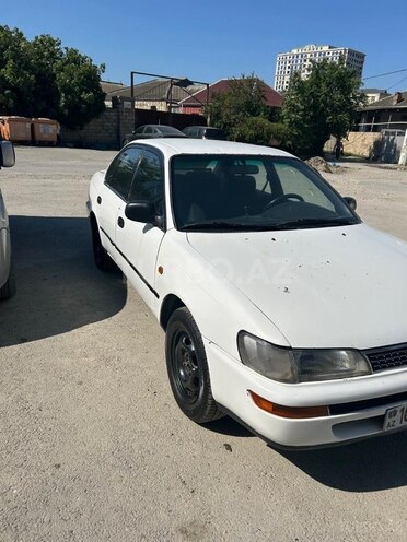 Toyota Corolla-4