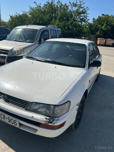 Toyota Corolla-1