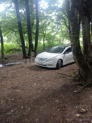 Hyundai Sonata-1