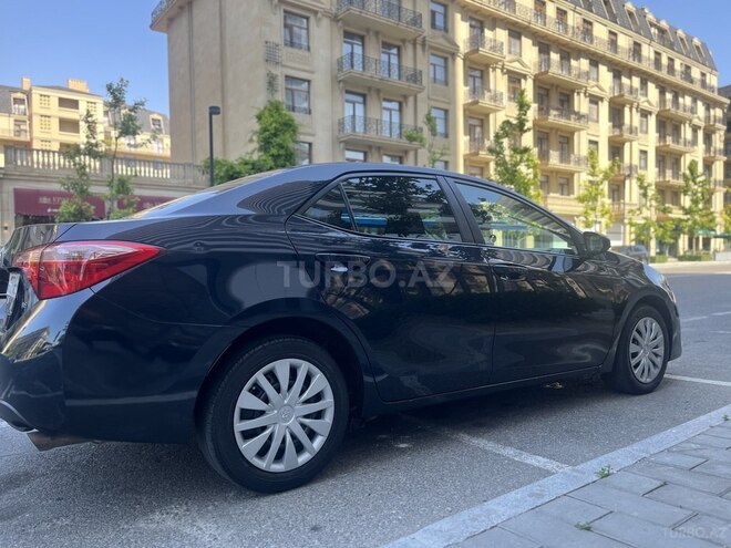 Toyota Corolla-6