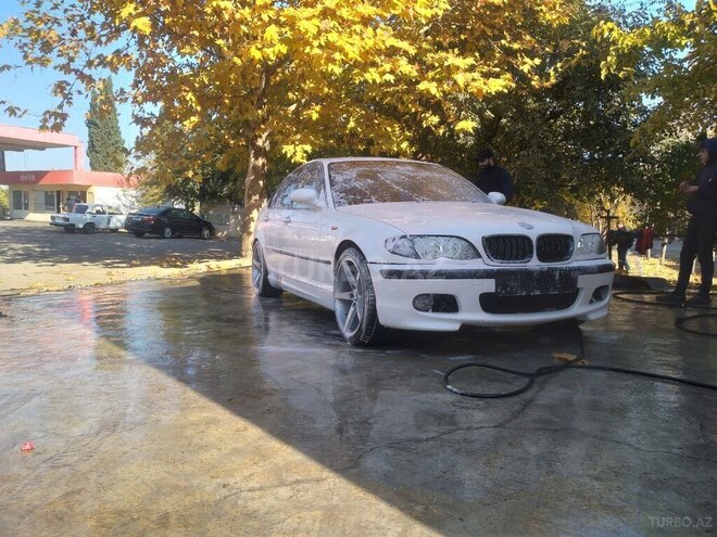 BMW 318-8