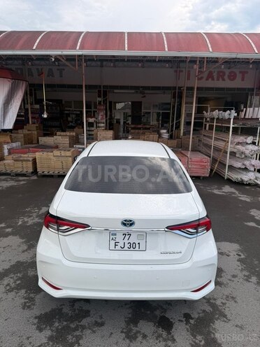 Toyota Corolla-3